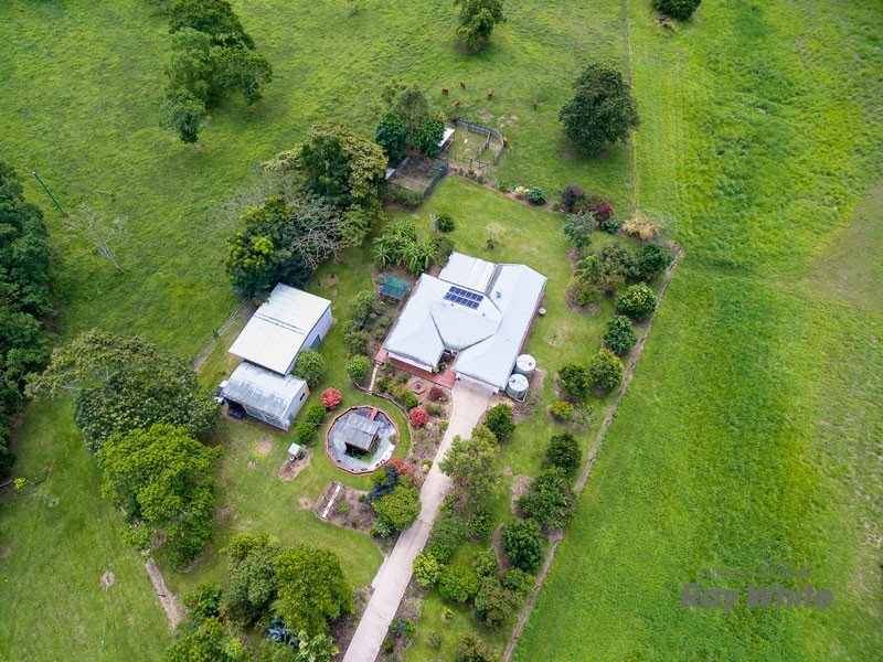 Little Mulgrave QLD 4865