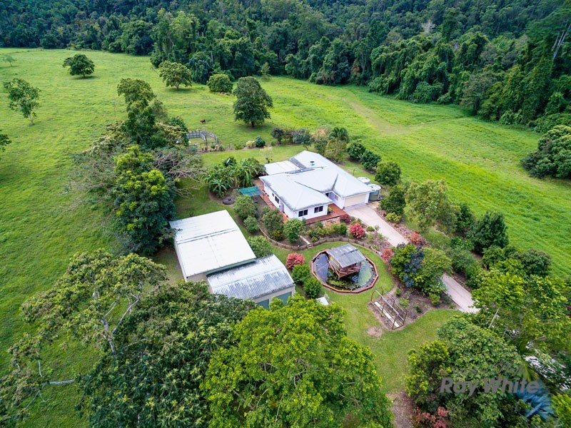 Little Mulgrave QLD 4865