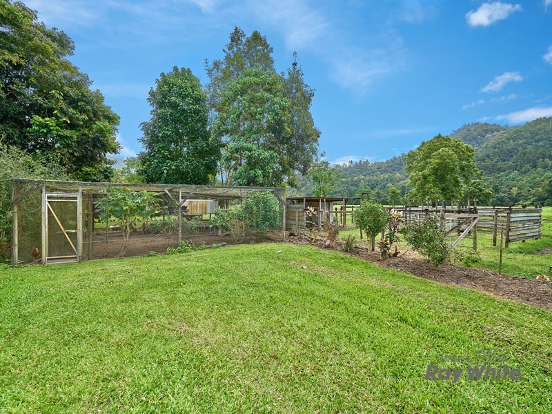 Little Mulgrave QLD 4865