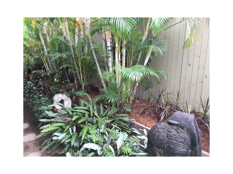 47 Timberlea Drive East, Bentley Park QLD 4869