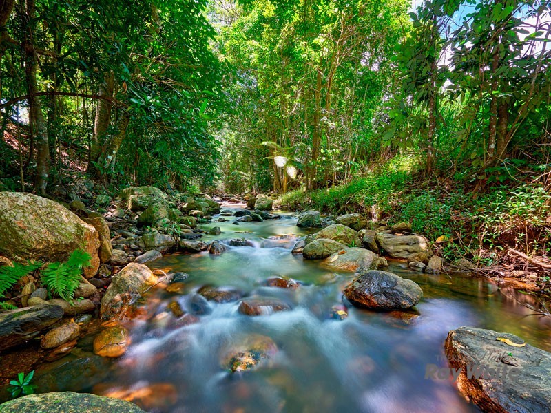 6 Oberonia Close, Edmonton QLD 4869