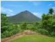 161 Gillies Range Road, Gordonvale QLD 4865