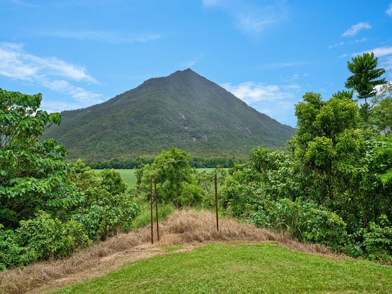 161 Gillies Range Road, Gordonvale QLD 4865