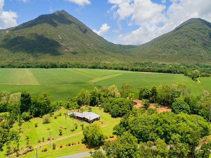 161 Gillies Range Road, Gordonvale QLD 4865