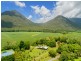 161 Gillies Range Road, Gordonvale QLD 4865