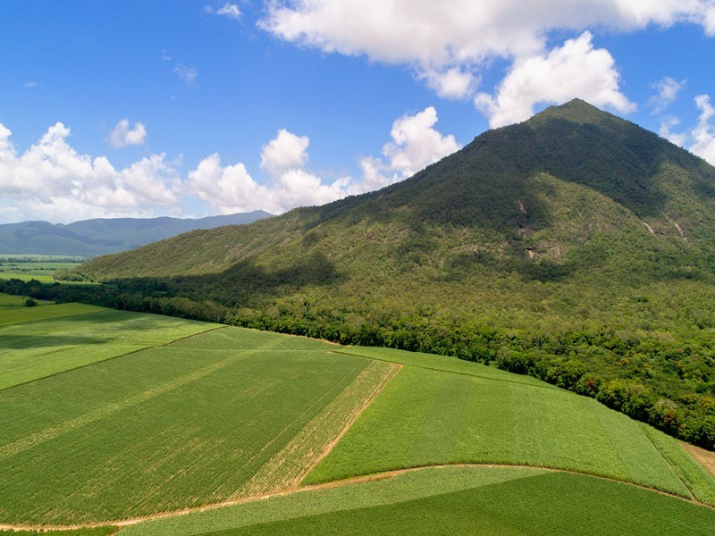 161 Gillies Range Road, Gordonvale QLD 4865