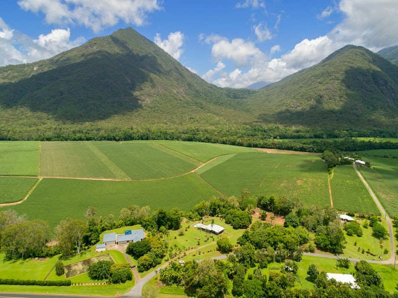 161 Gillies Range Road, Gordonvale QLD 4865