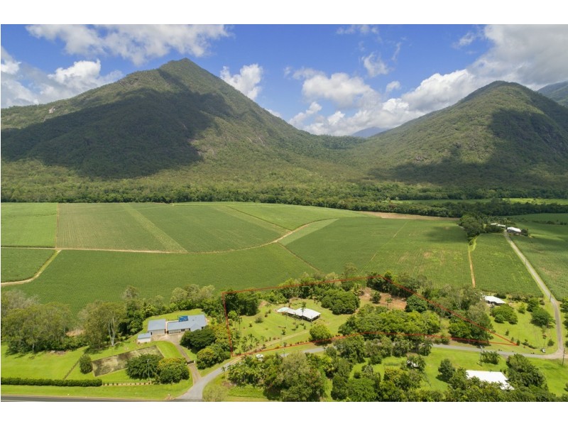 161 Gillies Range Road, Gordonvale QLD 4865