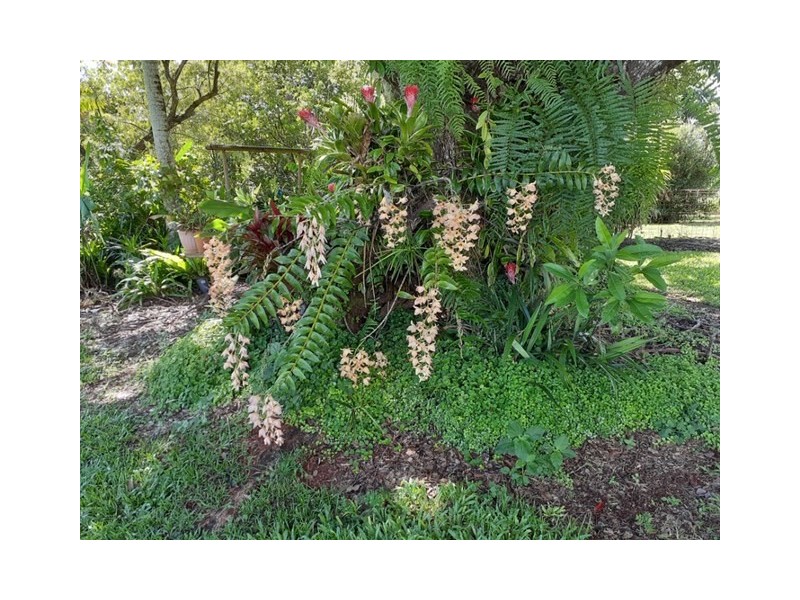 554 Utchee Creek Road, Mena Creek QLD 4871