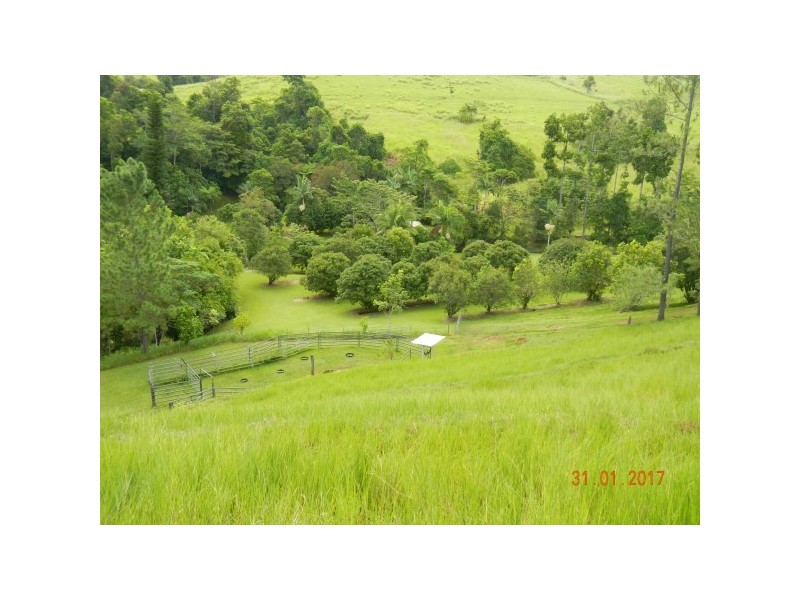 554 Utchee Creek Road, Mena Creek QLD 4871