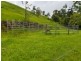 554 Utchee Creek Road, Mena Creek QLD 4871