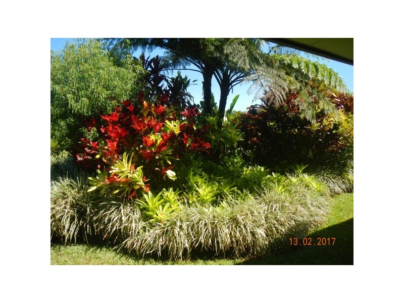 554 Utchee Creek Road, Mena Creek QLD 4871