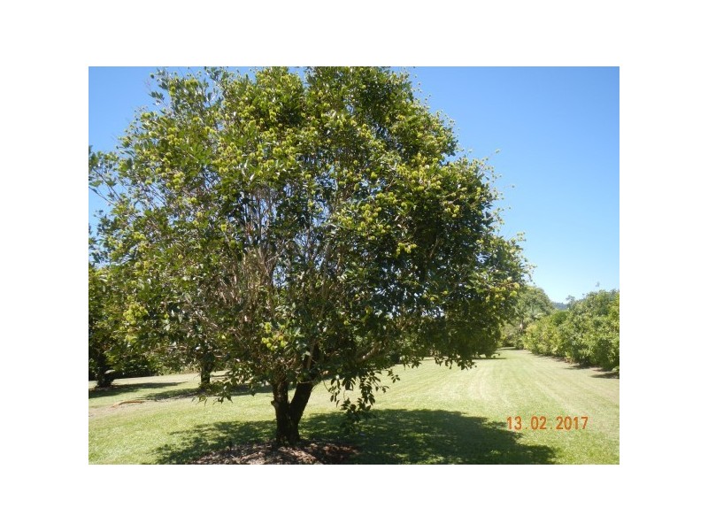 554 Utchee Creek Road, Mena Creek QLD 4871