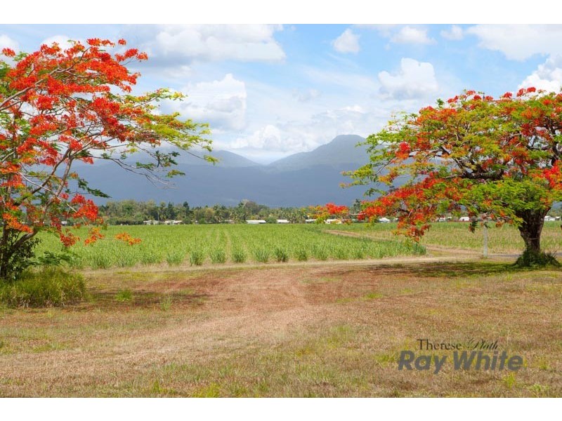 6 Carron Close, Bentley Park QLD 4869