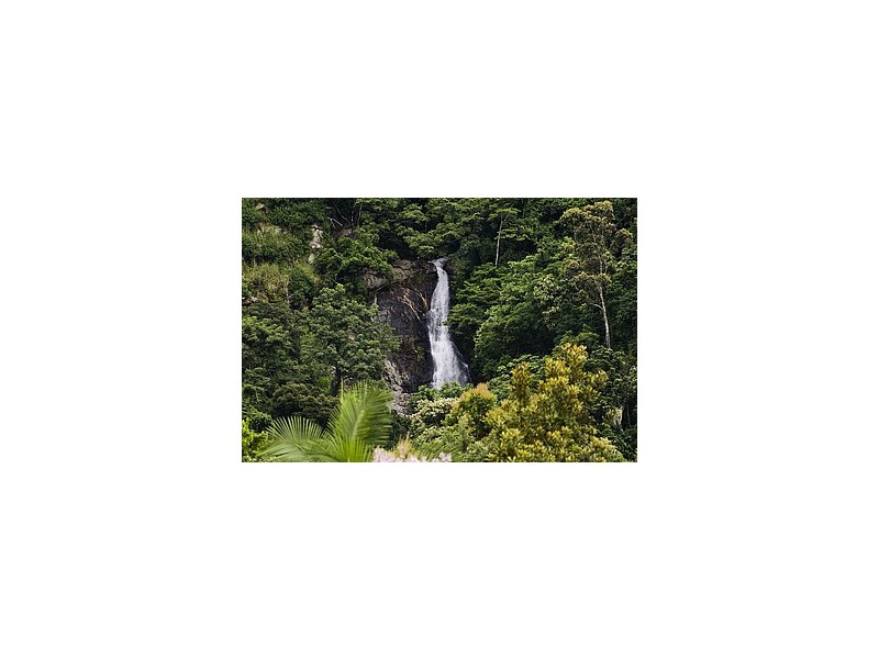 36 Canecutter Road, Edmonton QLD 4869