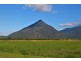 8 Griffin Street, Gordonvale QLD 4865