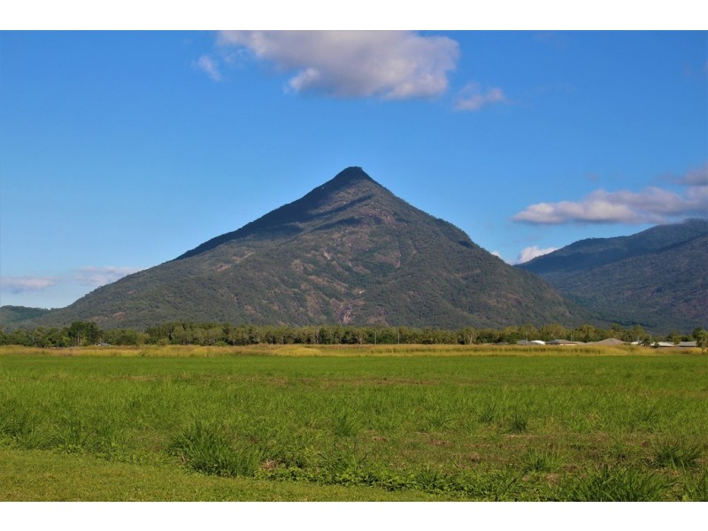 8 Griffin Street, Gordonvale QLD 4865