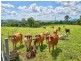 Mena Creek QLD 4871