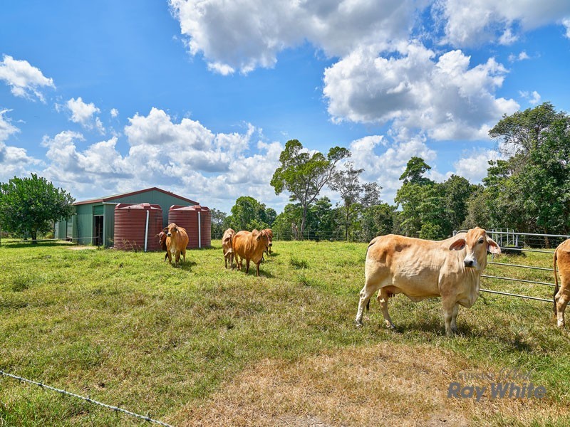 Mena Creek QLD 4871
