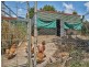 Mena Creek QLD 4871