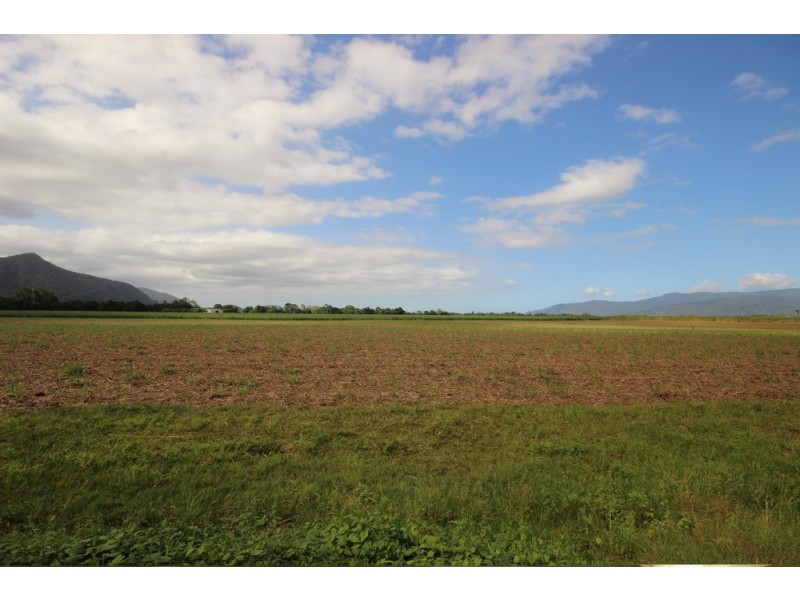 62 Thomson Road, Edmonton QLD 4869