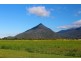 19 McSweeney Crescent, Gordonvale QLD 4865