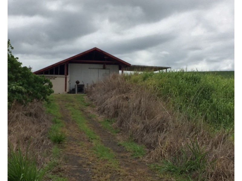 Lot 1 Nerada Road, Nerada QLD 4860