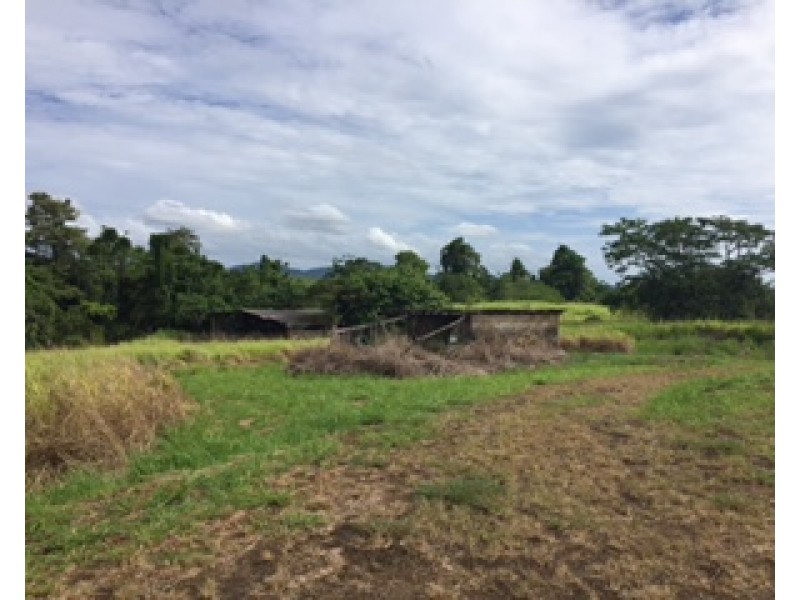 Lot 1 Nerada Road, Nerada QLD 4860