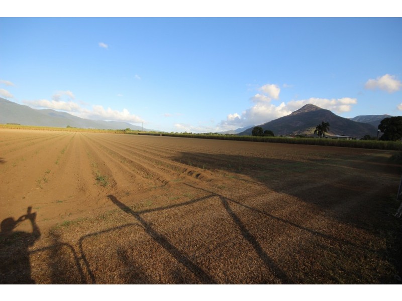 33 Campbell Street, Gordonvale QLD 4865