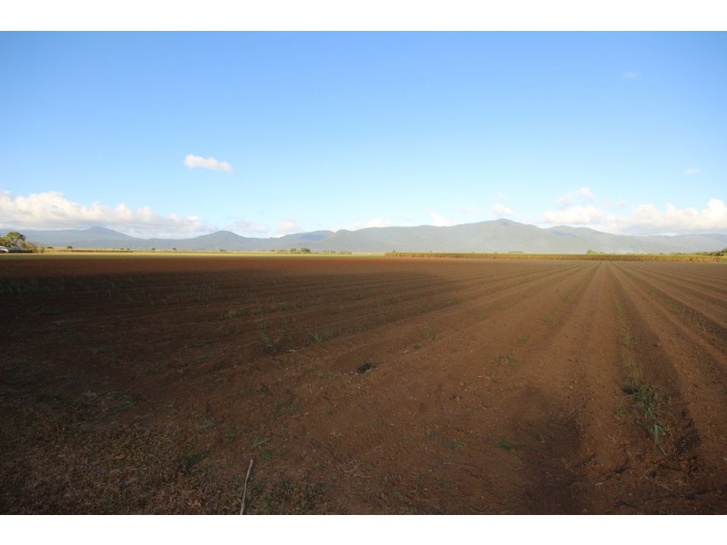 33 Campbell Street, Gordonvale QLD 4865