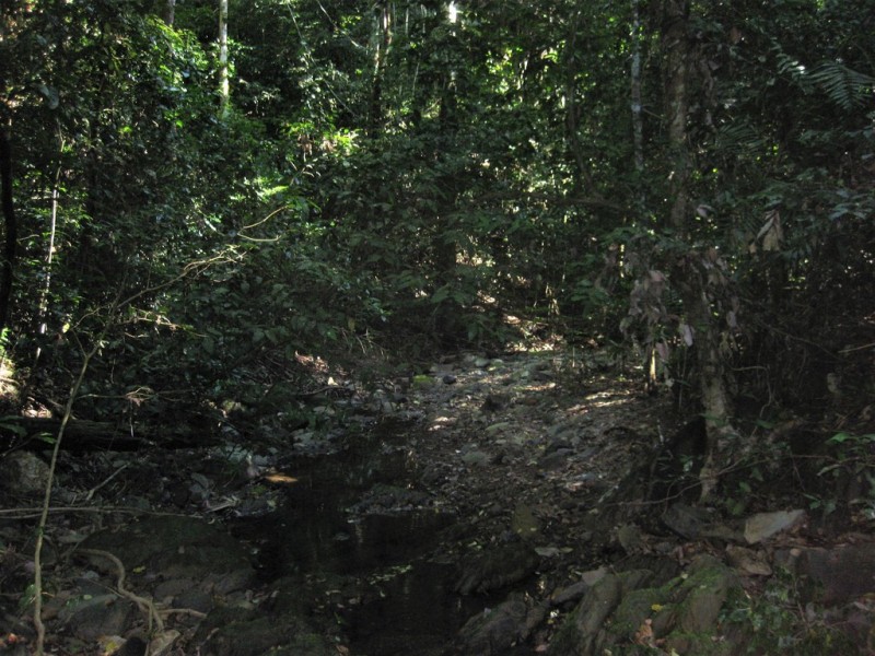 16 -18 Fossicker Close, Goldsborough QLD 4865