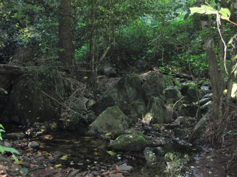 16 -18 Fossicker Close, Goldsborough QLD 4865