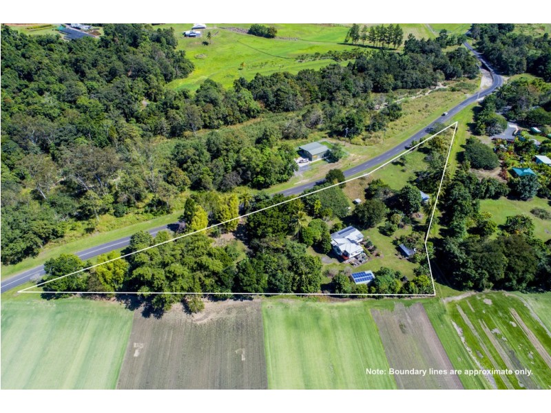 134 Little Mulgrave Road, Little Mulgrave QLD 4865