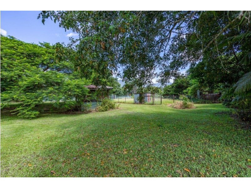 134 Little Mulgrave Road, Little Mulgrave QLD 4865