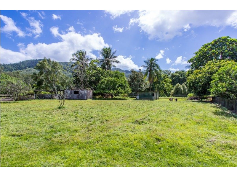 134 Little Mulgrave Road, Little Mulgrave QLD 4865