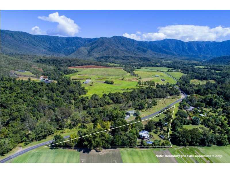 134 Little Mulgrave Road, Little Mulgrave QLD 4865