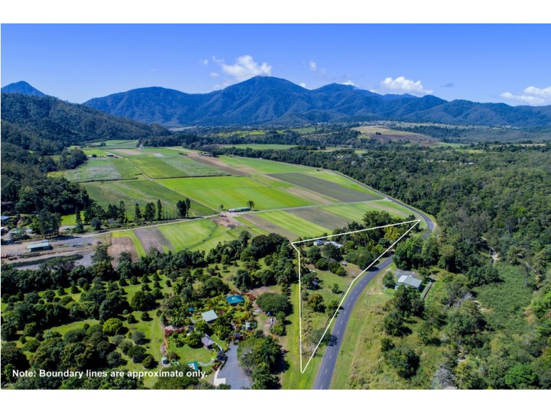 134 Little Mulgrave Road, Little Mulgrave QLD 4865