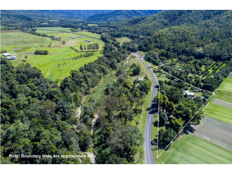 134 Little Mulgrave Road, Little Mulgrave QLD 4865