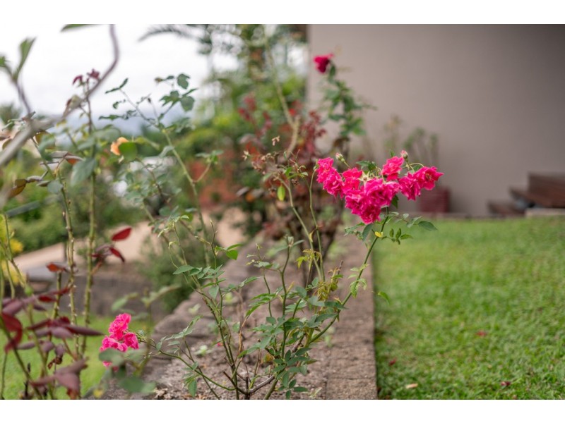 80 Verbena Drive, Mount Sheridan QLD 4868