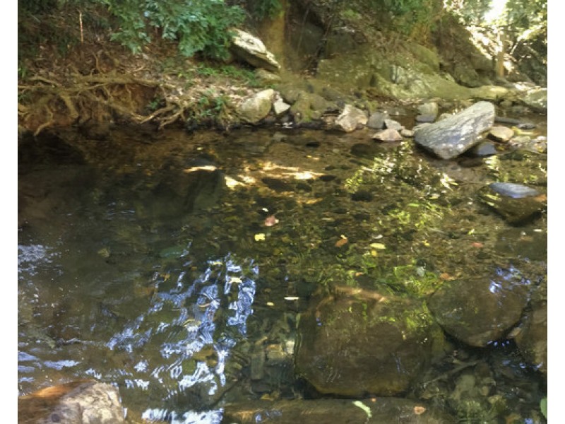 Bayview Heights QLD 4868