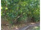 123 Robert Road, Bentley Park QLD 4869