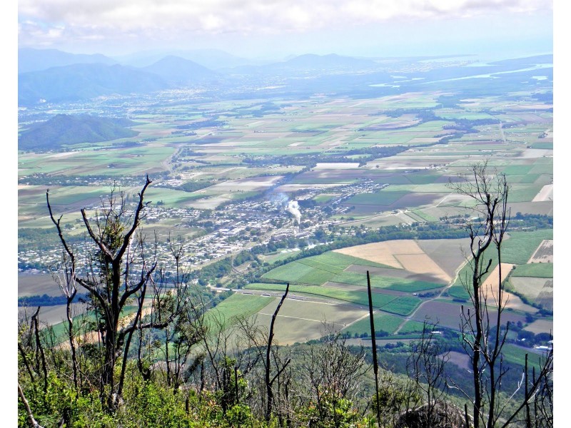 74 Griffin Street, Gordonvale QLD 4865