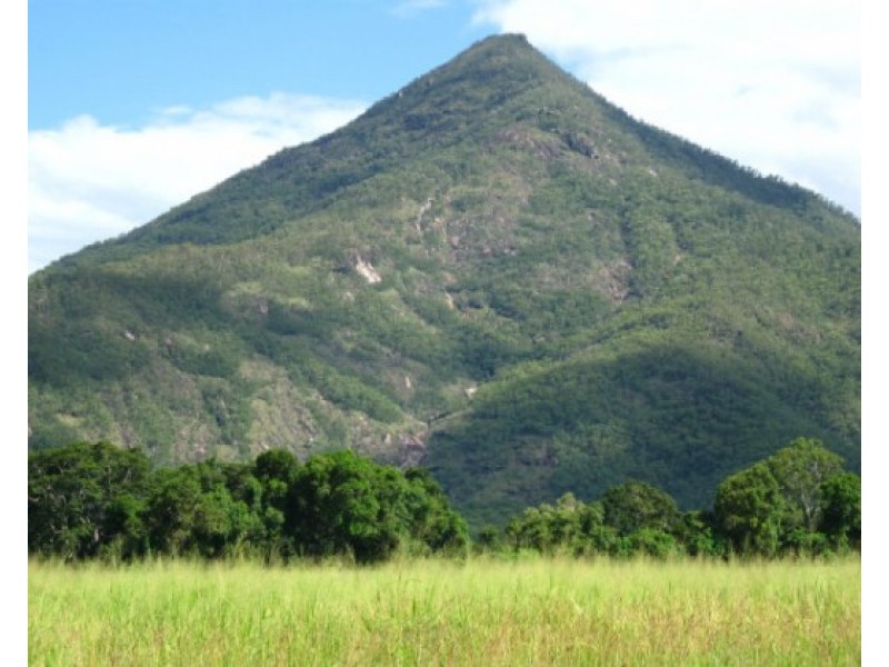 74 Griffin Street, Gordonvale QLD 4865