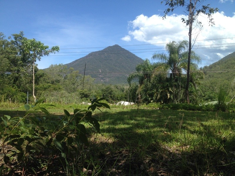 66 Vico Street, Gordonvale QLD 4865