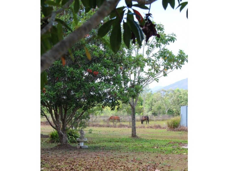 Gordonvale QLD 4865