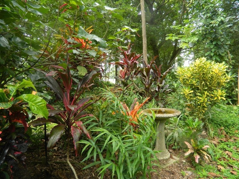 Fishery Falls QLD 4871