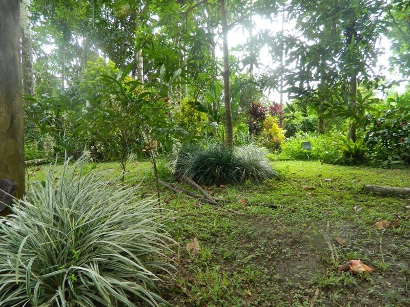 Fishery Falls QLD 4871