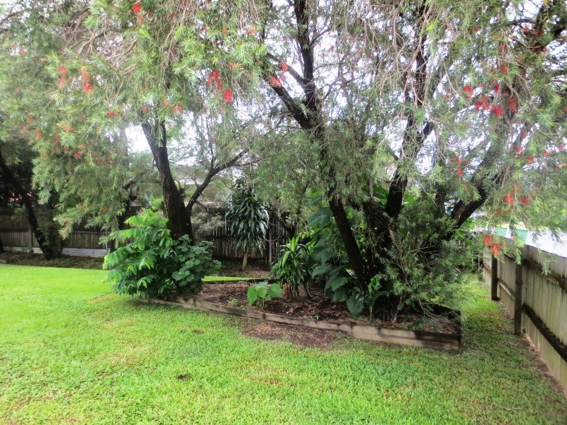 Edmonton QLD 4869