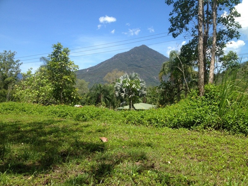 66 Vico Street, Gordonvale QLD 4865