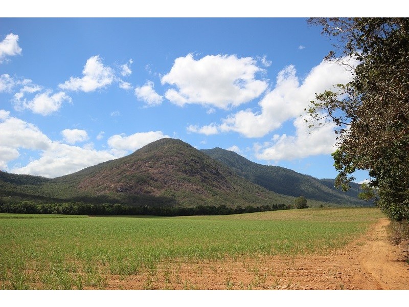 159 Gillies Range Road, Gordonvale QLD 4865